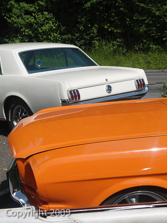 DSC-W510- 1/800 Sek. bei f / 4,7- 122