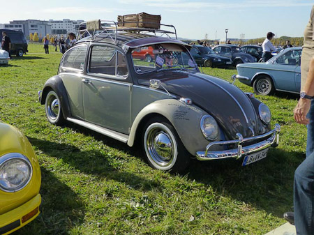 DMC-TZ31- 1/1250 Sek. bei f / 3,7- 122