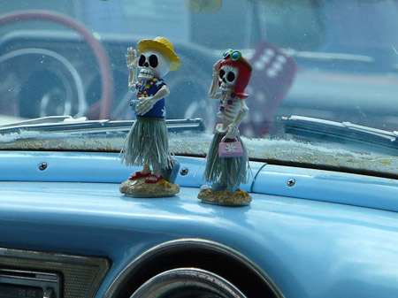 DMC-TZ31- 1/250 Sek. bei f / 5,9- 307