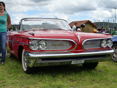 DMC-TZ31- 1/800 Sek. bei f / 4,5- 307