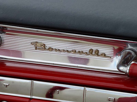 DMC-TZ31- 1/320 Sek. bei f / 5,6- 307