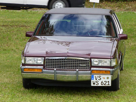 DMC-TZ31- 1/200 Sek. bei f / 5,5- 307