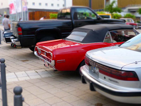 DMC-TZ31- 1/50 Sek. bei f / 4,2- 61