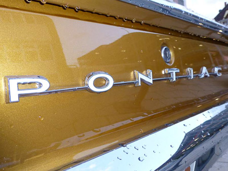 DMC-TZ31- 1/60 Sek. bei f / 3,6- 61