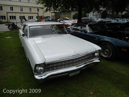 DSC-W510- 1/250 Sek. bei f / 8,0- 431