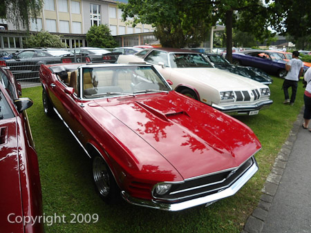 DSC-W510- 1/500 Sek. bei f / 2,8- 431