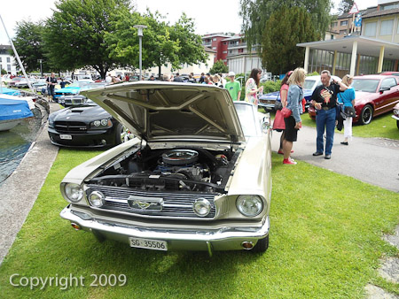 DSC-W510- 1/400 Sek. bei f / 2,8- 431