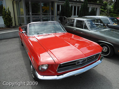 DSC-W510- 1/800 Sek. bei f / 2,8- 431