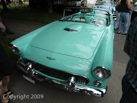 DSC-W510- 1/500 Sek. bei f / 2,8- 431