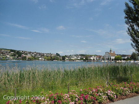 DSC-W510- 1/200 Sek. bei f / 8,0- 431