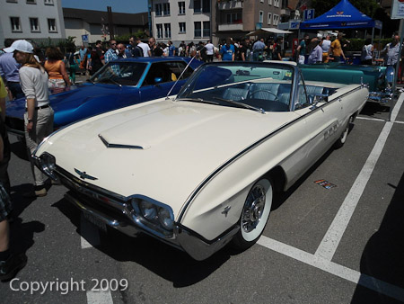 DSC-W510- 1/500 Sek. bei f / 8,0- 431