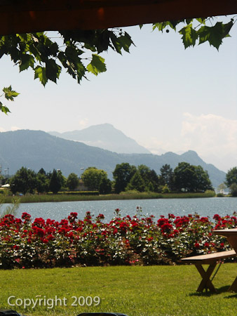 DSC-W510- 1/400 Sek. bei f / 5,9- 431