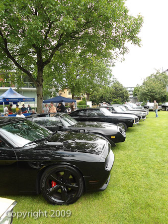 DSC-W510- 1/200 Sek. bei f / 2,8- 431