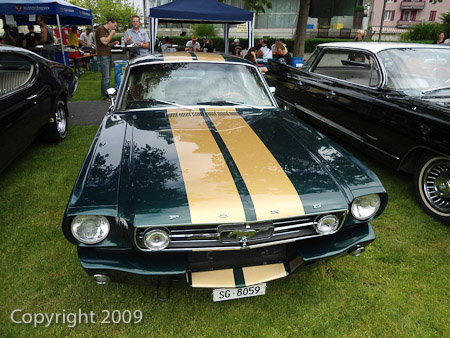 DSC-W510- 1/500 Sek. bei f / 2,8- 431