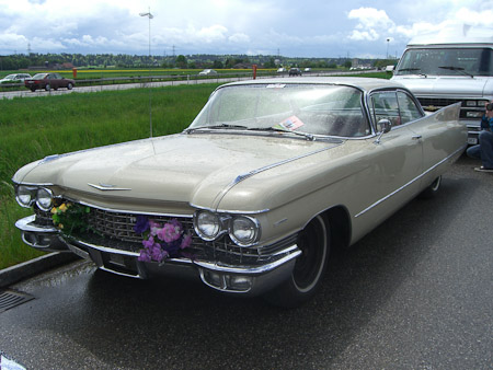 EX-Z850- 1/800 Sek. bei f / 4,0- 776