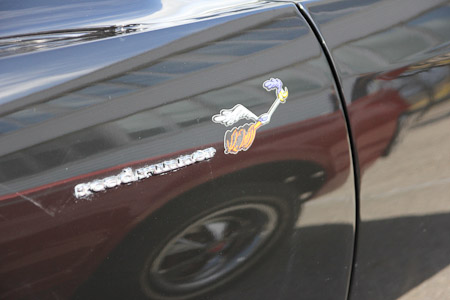 Canon EOS 60D- 1/800 Sek. bei f / 4,0- 776