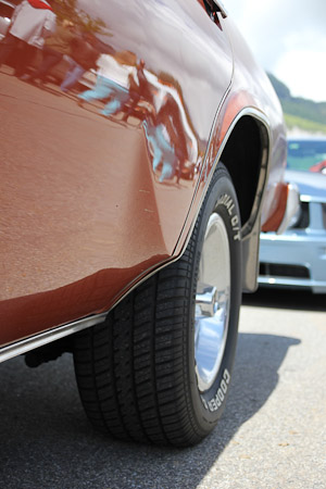 Canon EOS 60D- 1/800 Sek. bei f / 3,5- 776