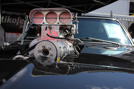 Canon EOS 60D- 1/800 Sek. bei f / 3,5- 776