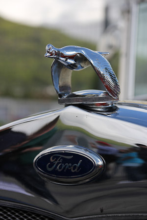 Canon EOS 60D- 1/800 Sek. bei f / 5,0- 776