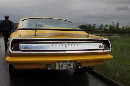 Canon EOS 60D- 1/500 Sek. bei f / 6,3- 776