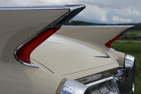 Canon EOS 60D- 1/500 Sek. bei f / 8,0- 776