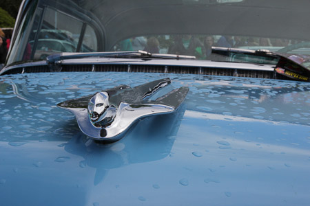 Canon EOS 60D- 1/60 Sek. bei f / 29- 776