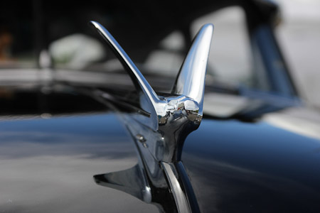 Canon EOS 60D- 1/800 Sek. bei f / 5,0- 776