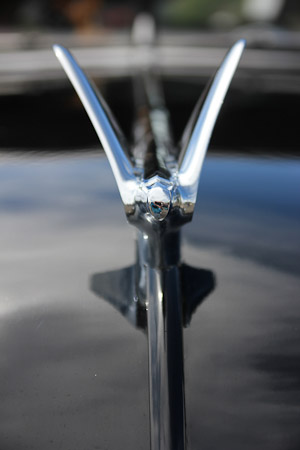 Canon EOS 60D- 1/800 Sek. bei f / 4,0- 776