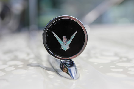 Canon EOS 60D- 1/800 Sek. bei f / 5,6- 776