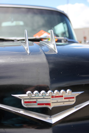 Canon EOS 60D- 1/800 Sek. bei f / 3,5- 776