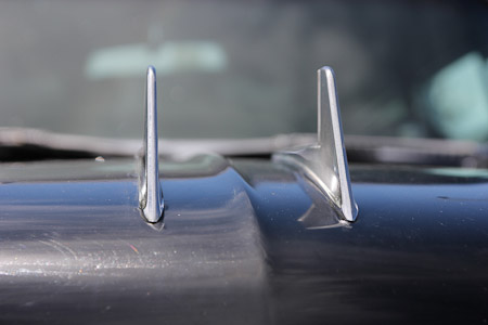 Canon EOS 60D- 1/800 Sek. bei f / 5,0- 776