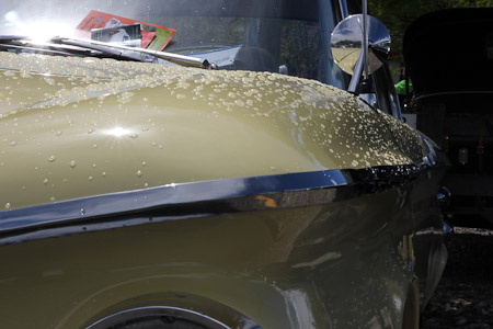 Canon EOS 60D- 1/80 Sek. bei f / 29- 776