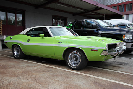 Canon EOS 60D- 1/500 Sek. bei f / 3,5- 776