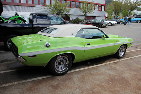 Canon EOS 60D- 1/500 Sek. bei f / 3,5- 776