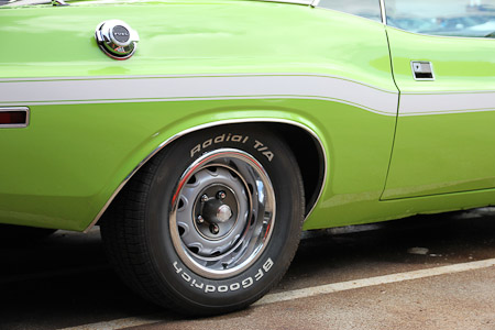 Canon EOS 60D- 1/500 Sek. bei f / 3,5- 776