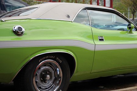 Canon EOS 60D- 1/500 Sek. bei f / 3,5- 776