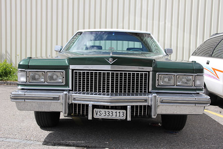 Canon EOS 60D- 1/500 Sek. bei f / 5,6- 776