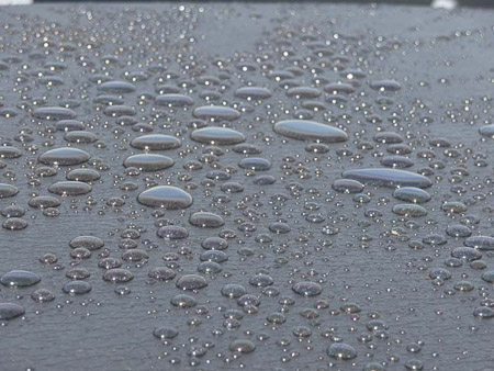 DMC-TZ5- 1/250 Sek. bei f / 4,8- 88