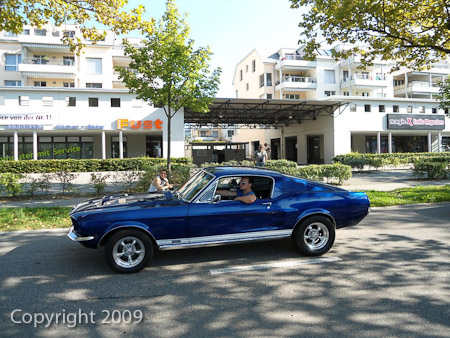 DSC-W510- 1/250 Sek. bei f / 2,8- 236