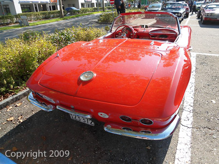 DSC-W510- 1/500 Sek. bei f / 2,8- 236