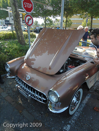 DSC-W510- 1/250 Sek. bei f / 2,8- 236