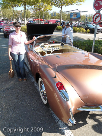 DSC-W510- 1/400 Sek. bei f / 2,8- 236