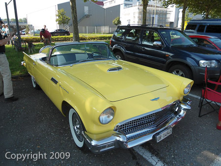 DSC-W510- 1/400 Sek. bei f / 2,8- 236