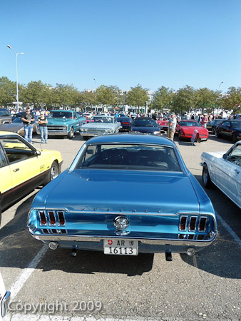 DSC-W510- 1/640 Sek. bei f / 2,8- 236