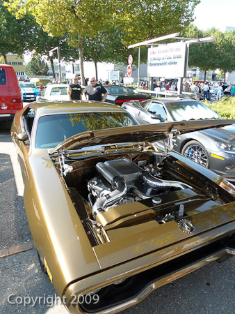 DSC-W510- 1/200 Sek. bei f / 2,8- 236