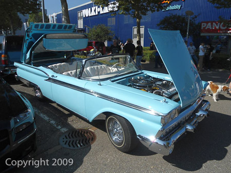 DSC-W510- 1/250 Sek. bei f / 8,0- 236