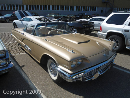 DSC-W510- 1/250 Sek. bei f / 8,0- 236