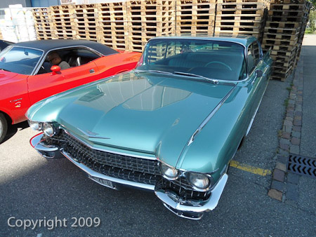 DSC-W510- 1/400 Sek. bei f / 2,8- 236