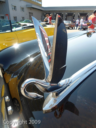 DSC-W510- 1/400 Sek. bei f / 2,8- 236