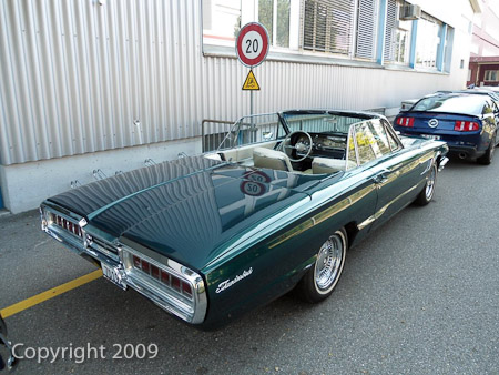 DSC-W510- 1/80 Sek. bei f / 2,8- 236